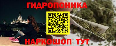 стафф Будённовск