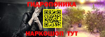 стафф Будённовск