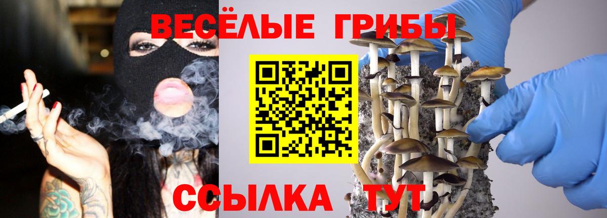 Моршанск  Галлюциногенные грибы Magic Shrooms  Вход с VPN 